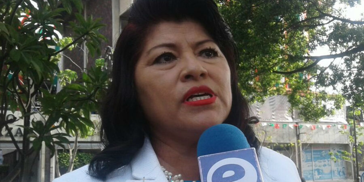 Señala diputada que Ejecutivo debe buscar recursos para rescate de escuelas