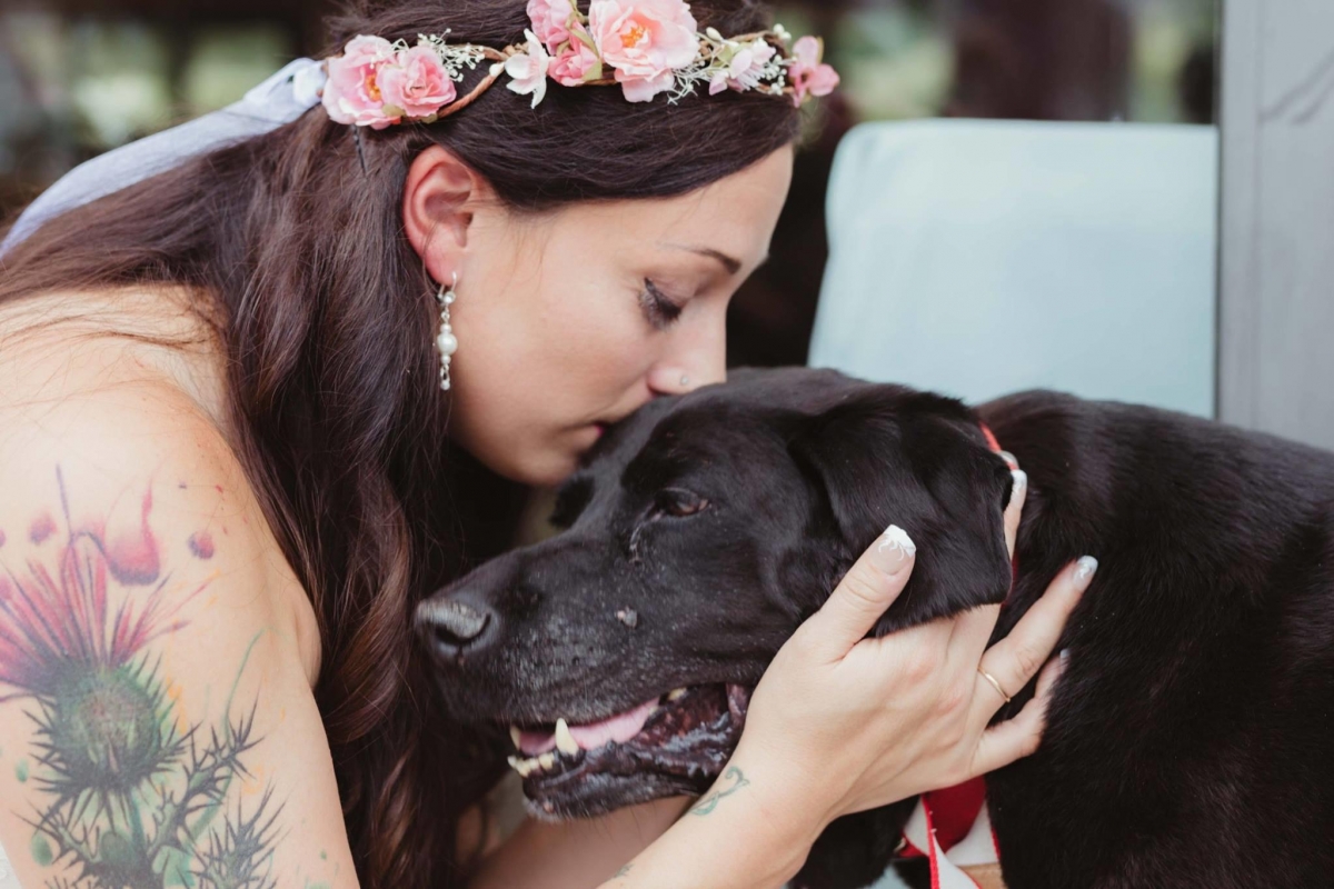 Por amor a su dueña, perro reta a la muerte y acude a su boda