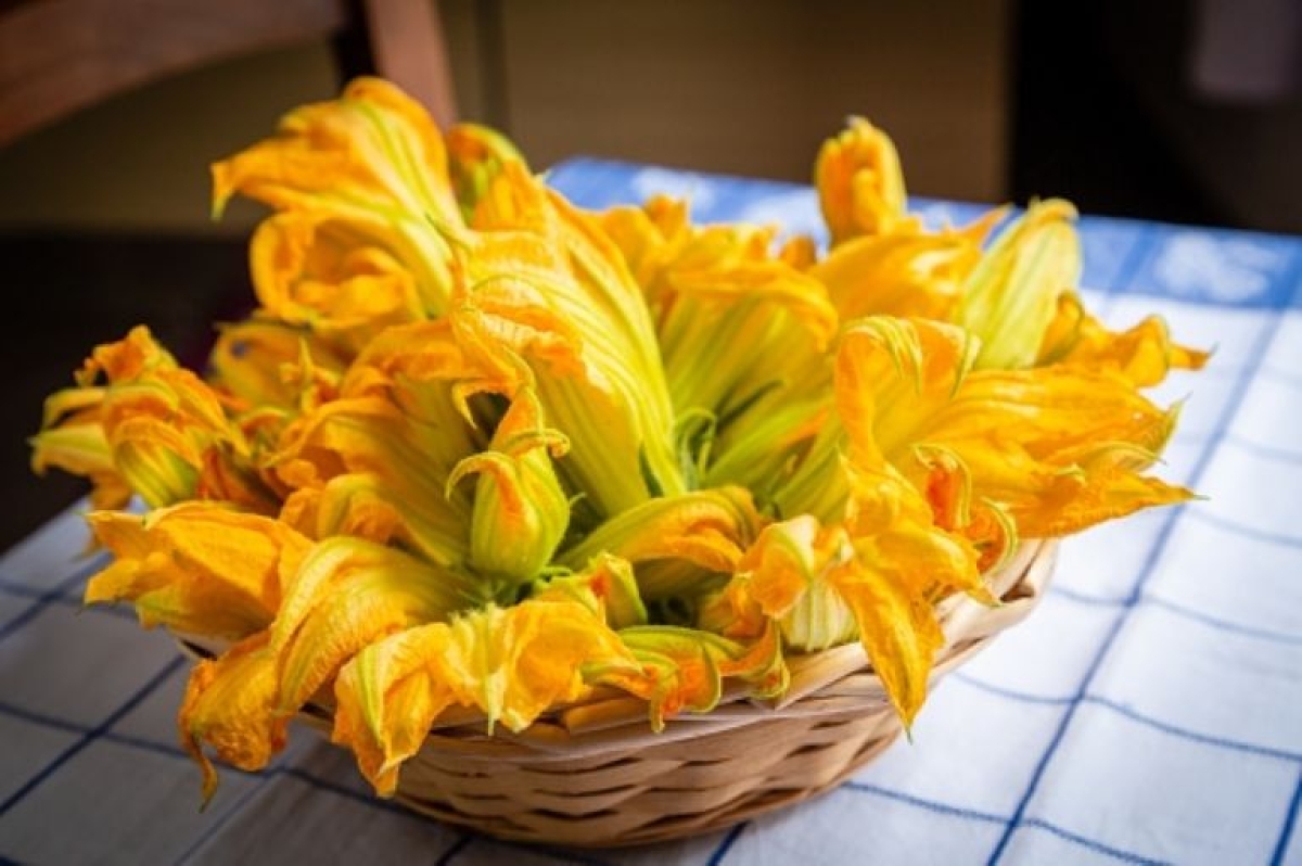 ¿Te sobró? Aprovecha esas flores de calabaza y prepara un platillo delicioso con queso