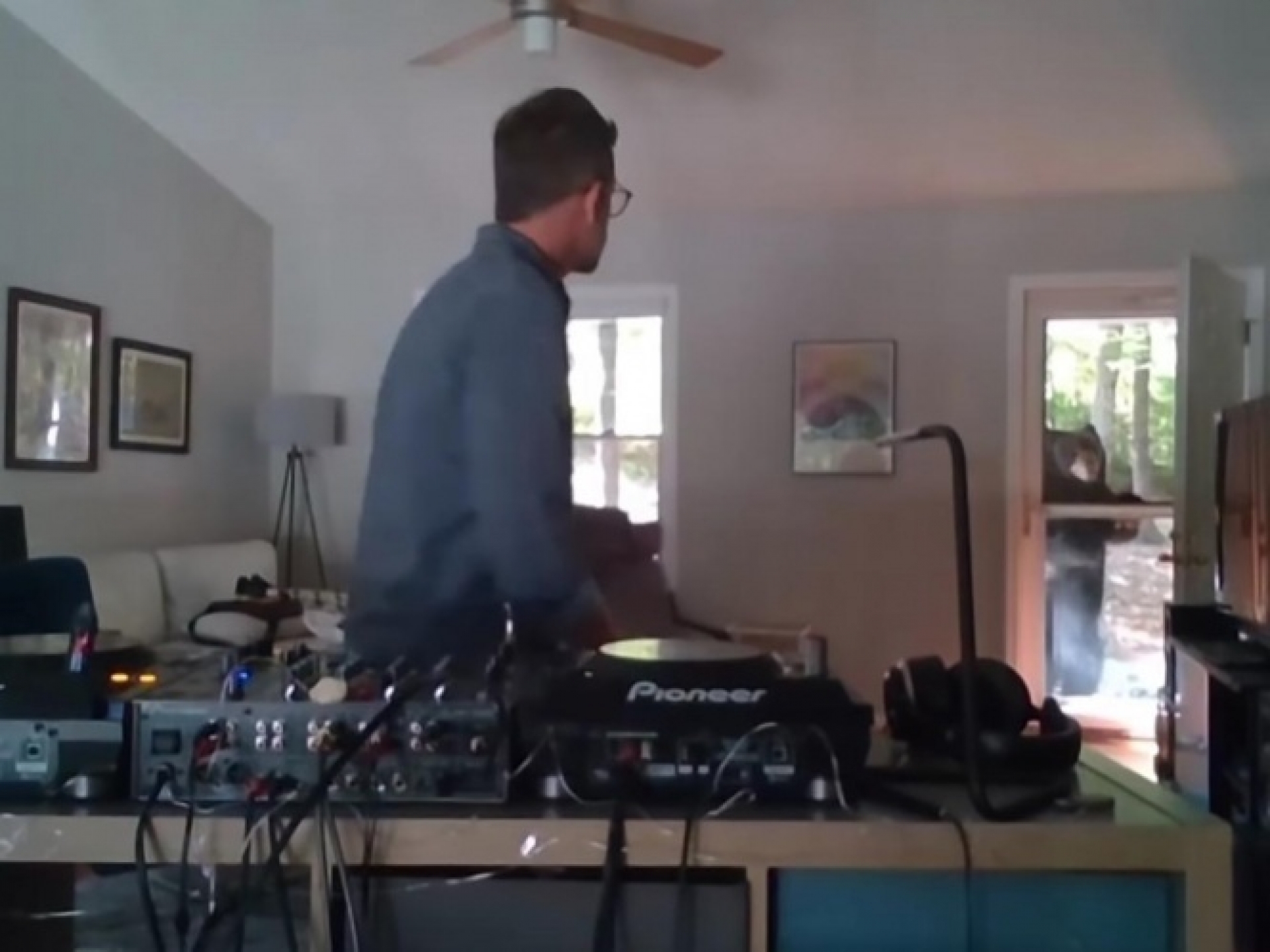 Oso salvaje interrumpe a DJ que tocaba en casa; así reaccionó