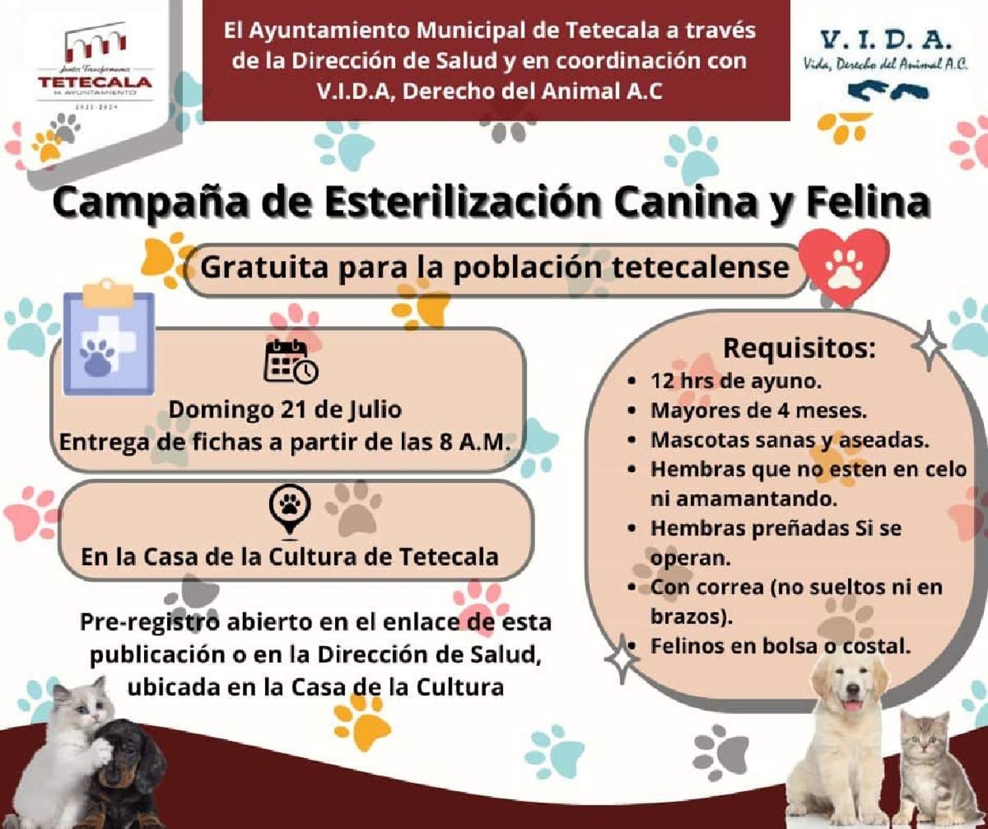 Esterilizarán a perros y gatos en Tetecala