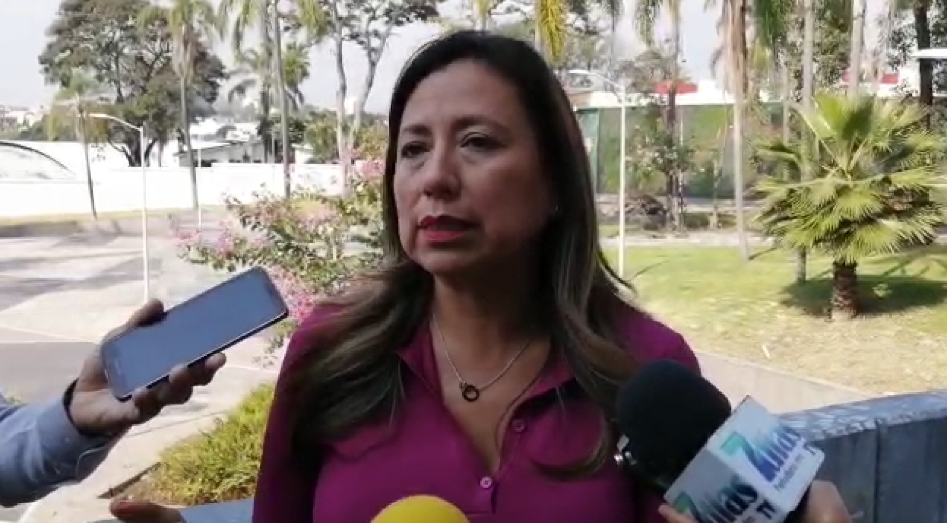 Adelanta diputada que legisladores se reducirían presupuesto para el 2020