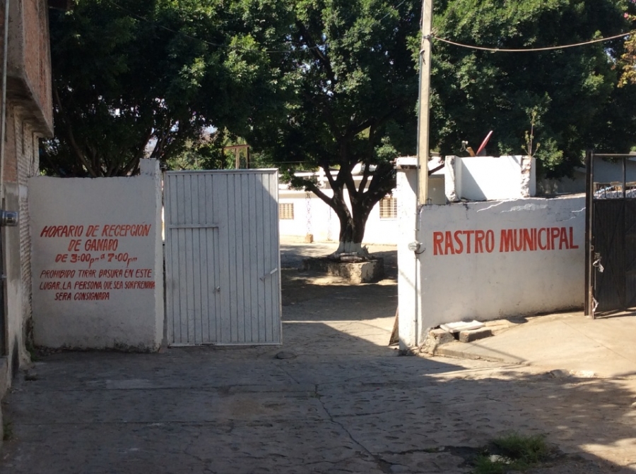 Se cumplen 20 días de la clausura del rastro municipal de Puente de Ixtla