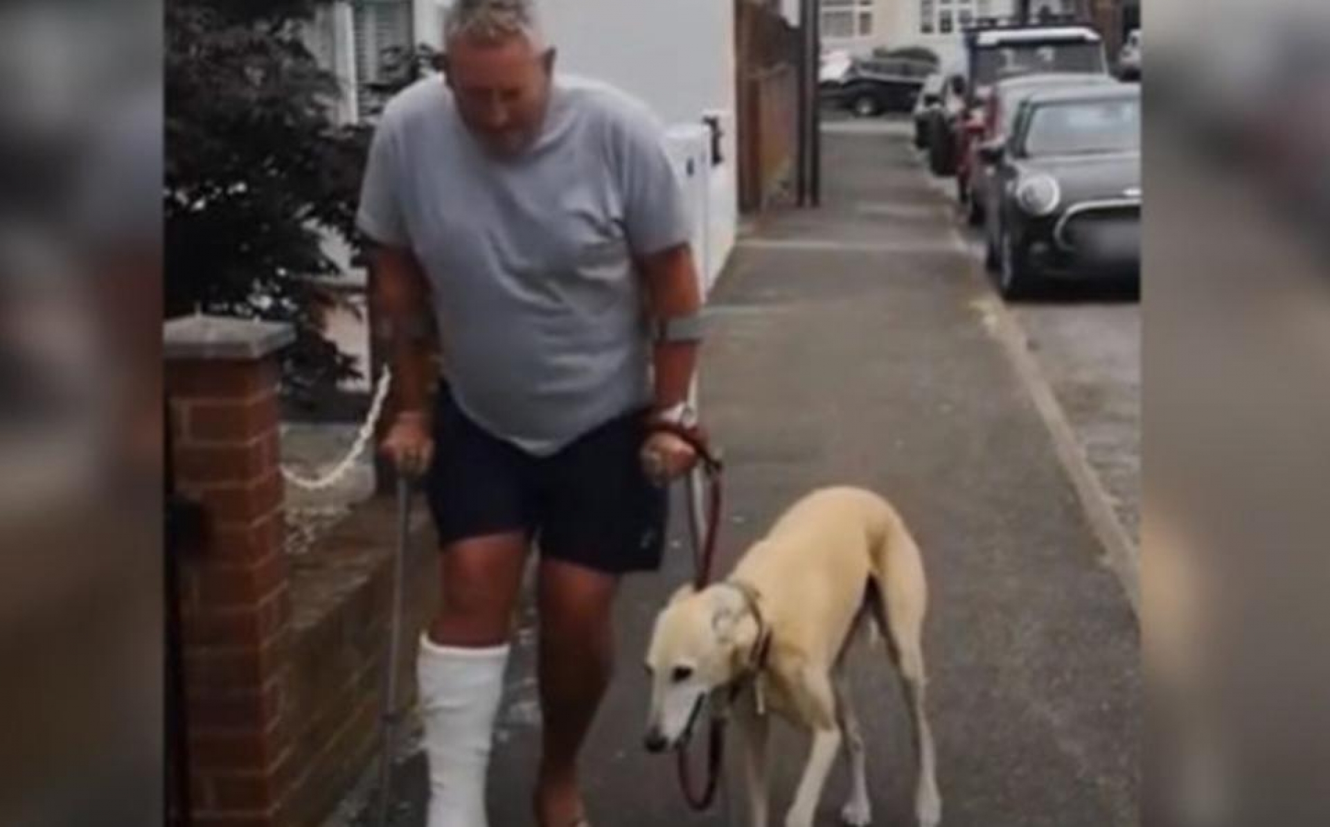 Hombre gasta mucho dinero en médicos para su perro cojo; descubre que sólo lo imitaba