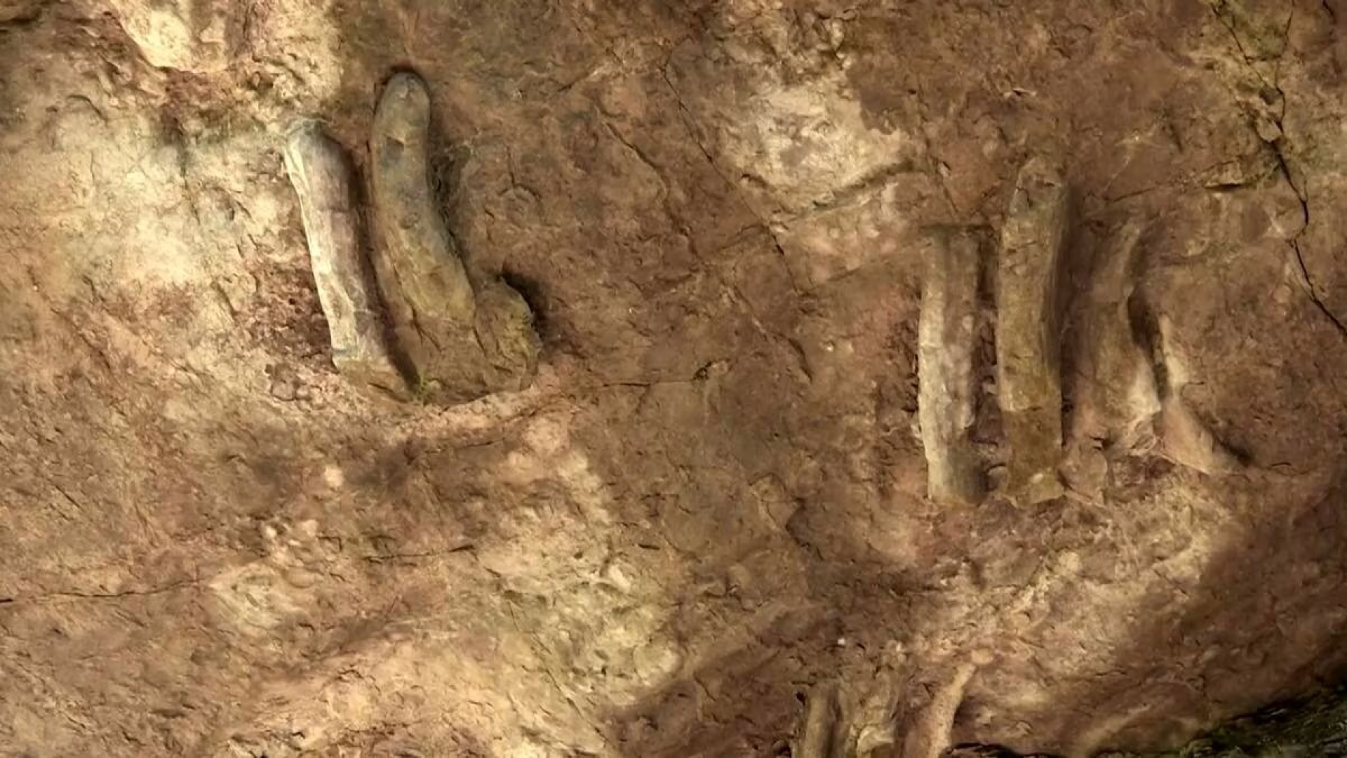 Encuentran 27 huellas de dinosaurios nadadores en La Rioja
