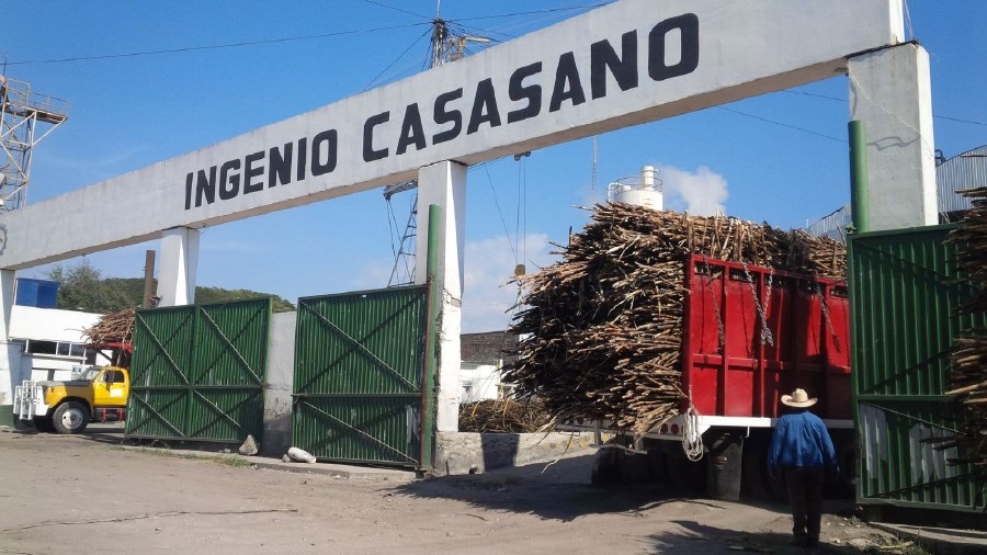 Procesará Ingenio de Casasano caña de la zona sur
