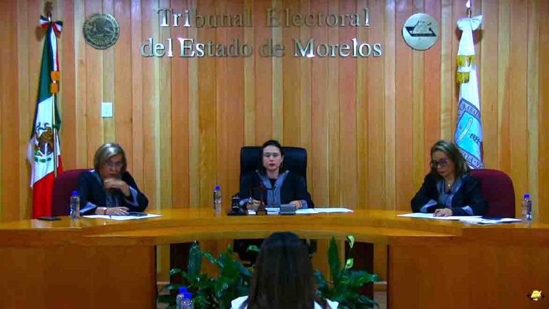 Ratifica TEEM validez de elección del Ayuntamiento de Cuautla