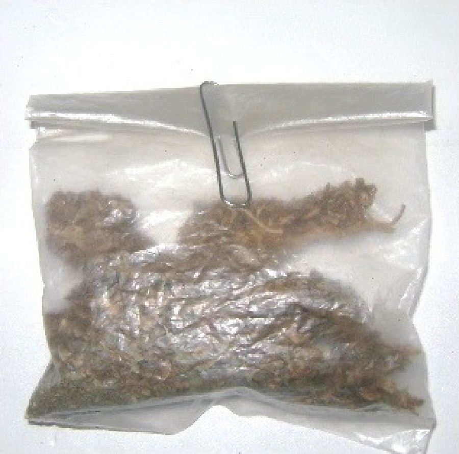 Arrestan a joven que presuntamente tenía droga