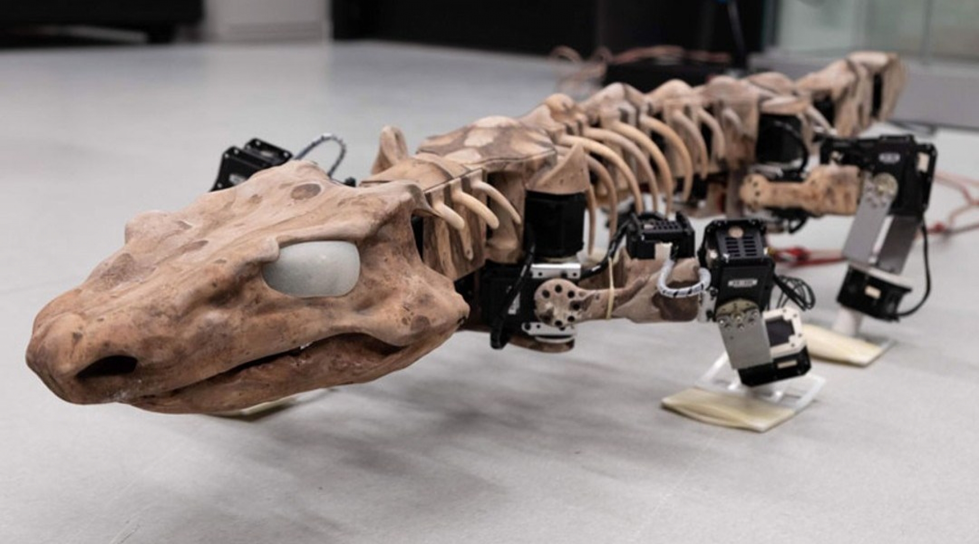 Este video de un robot de dinosaurio hecho con huesos de dinosaurio es épico