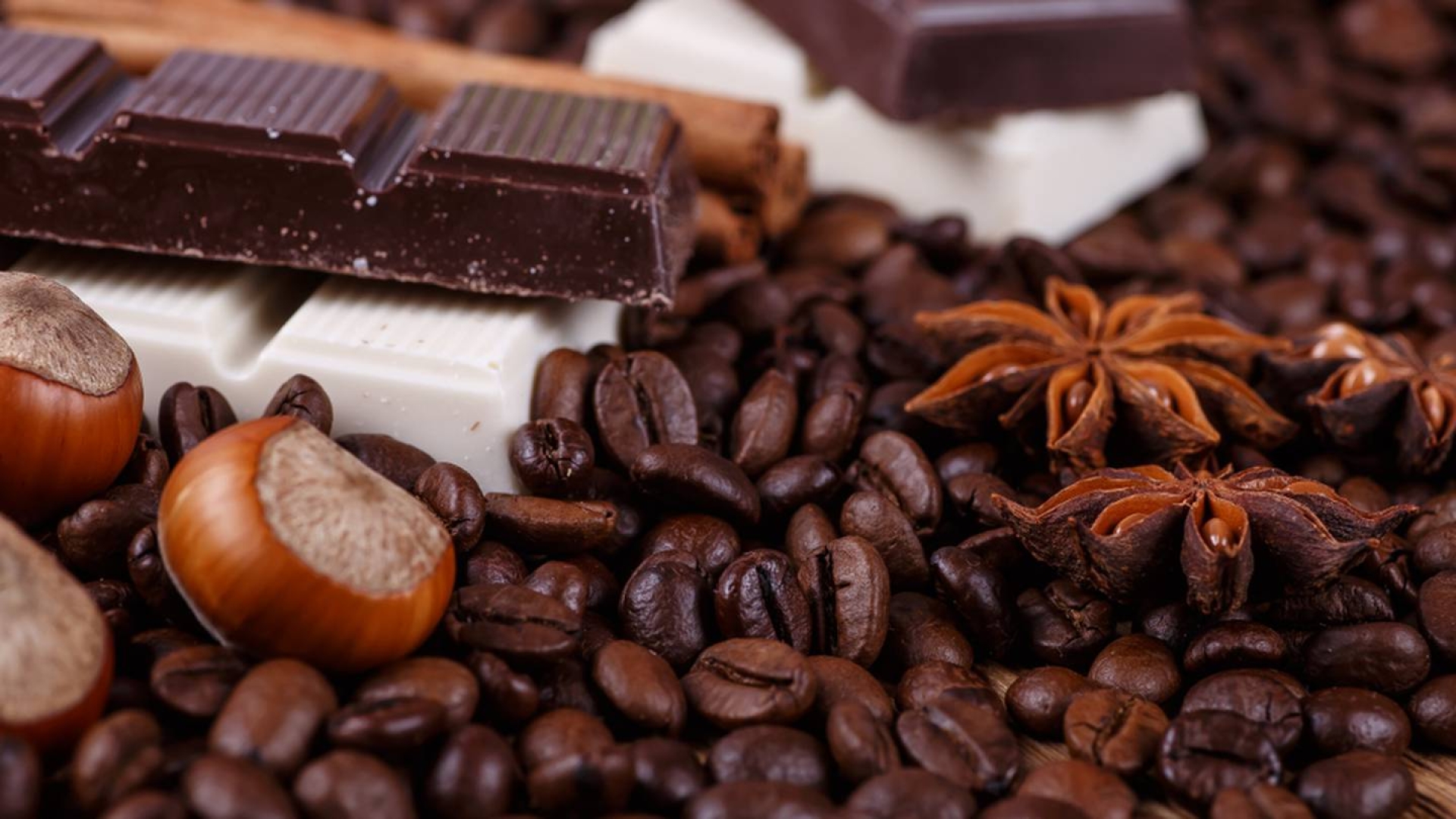 Aromas y sabores: Visita el 'Café y Chocolate Fest' en CDMX