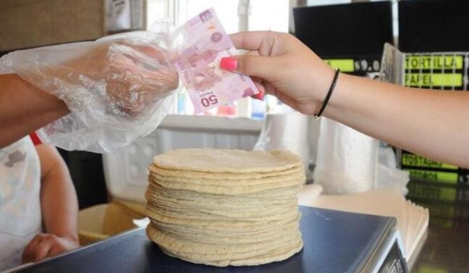 No habrá aumento en el precio de la tortilla en 2021: AMLO