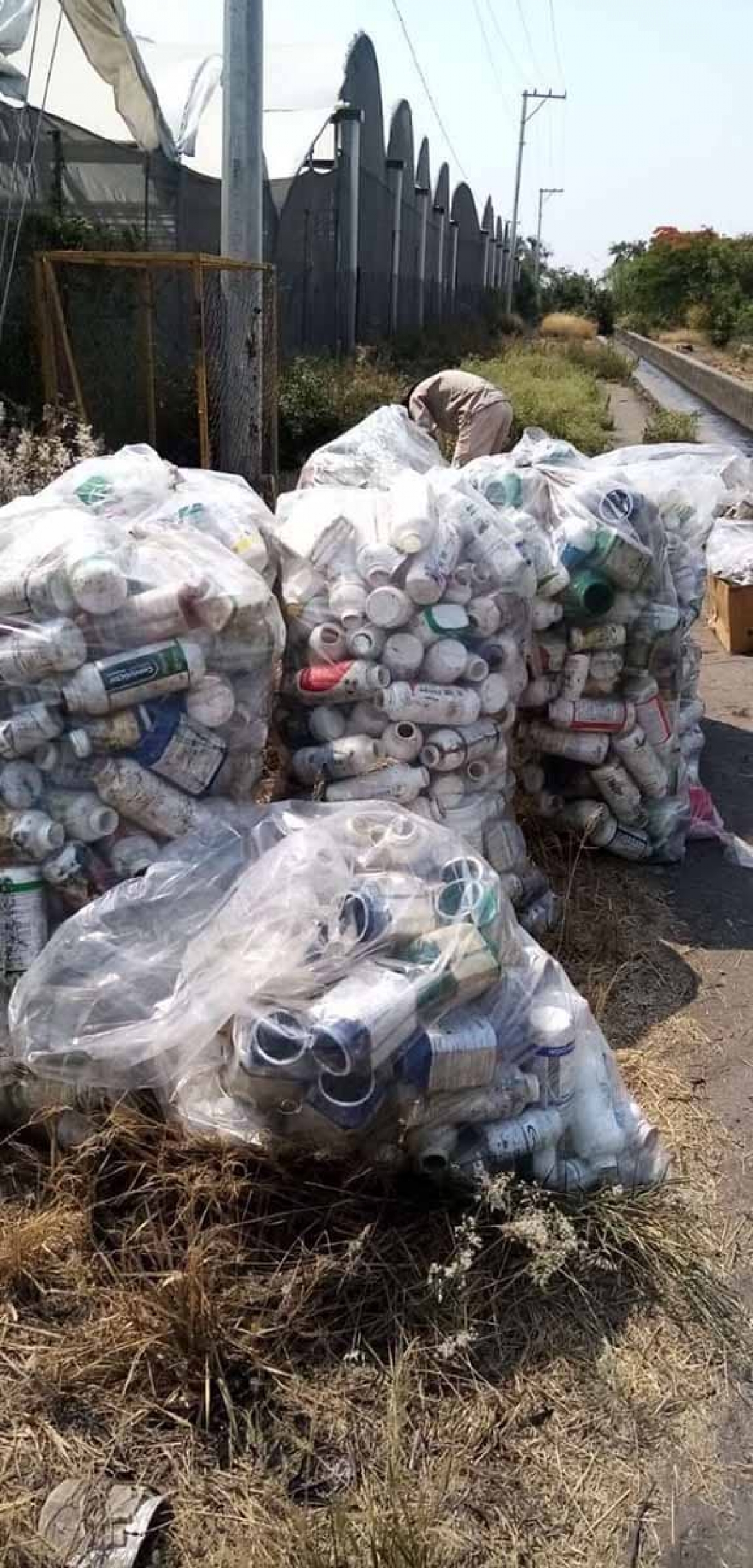 Recolectan más de seis toneladas de desechos en ejidos de Cuautla