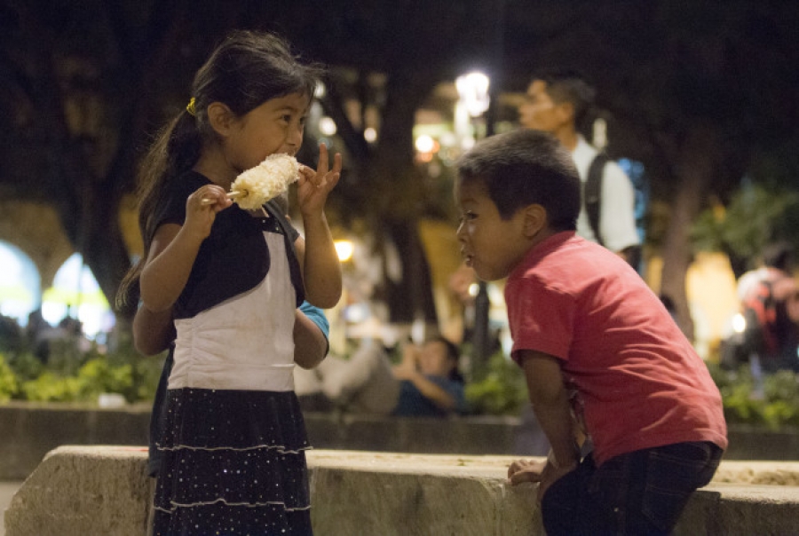 El Sistema para proteger a la infancia del país cumple dos años sin presupuesto asignado