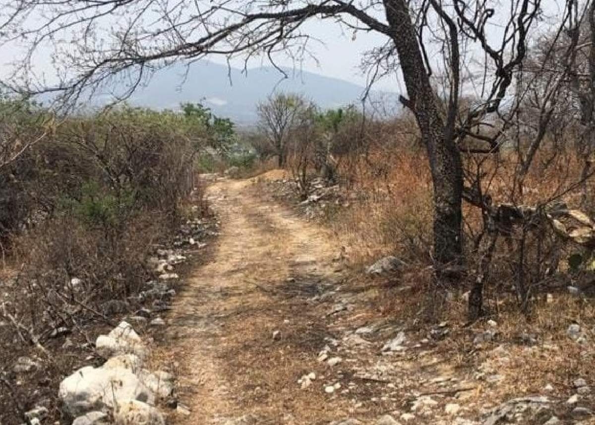 Sin freno, la invasión de cerros en Yautepec