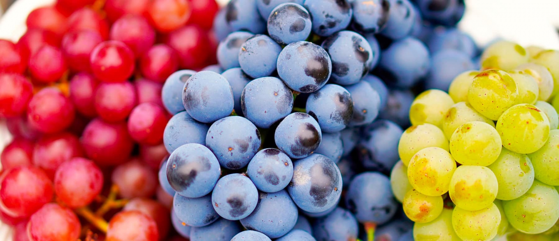 Truco para conservar frescas las uvas por más tiempo