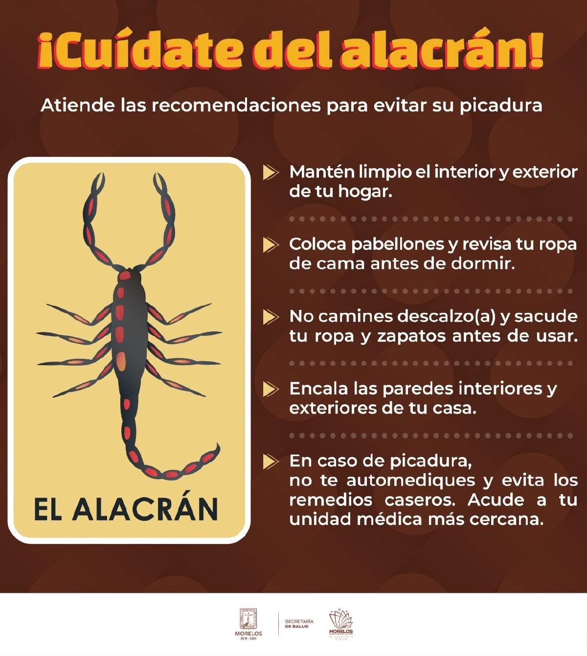 Ya van cuatro mil 500 casos de piquetes de alacrán