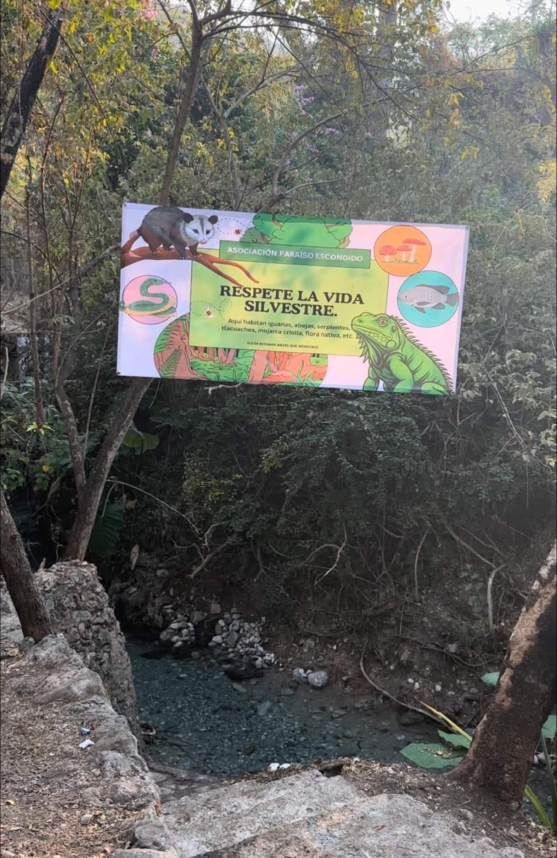 Turismo estatal promocionará balnearios rústicos del surponiente
