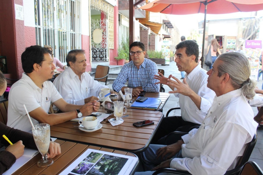 Plantean instalar paneles de energía solar en comercios del primer cuadro