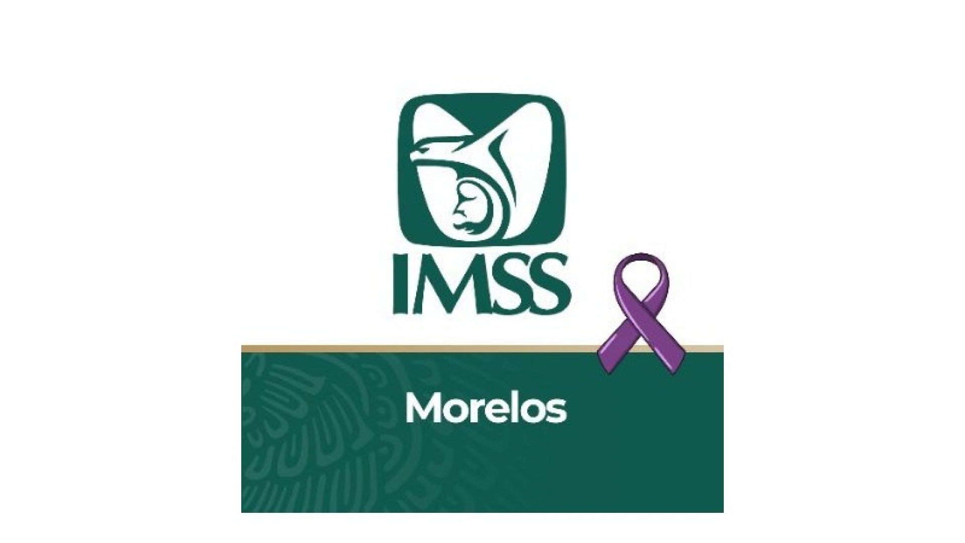 Prioriza IMSS Morelos entrega de insumos a hospitales para atender pacientes por Covid-19