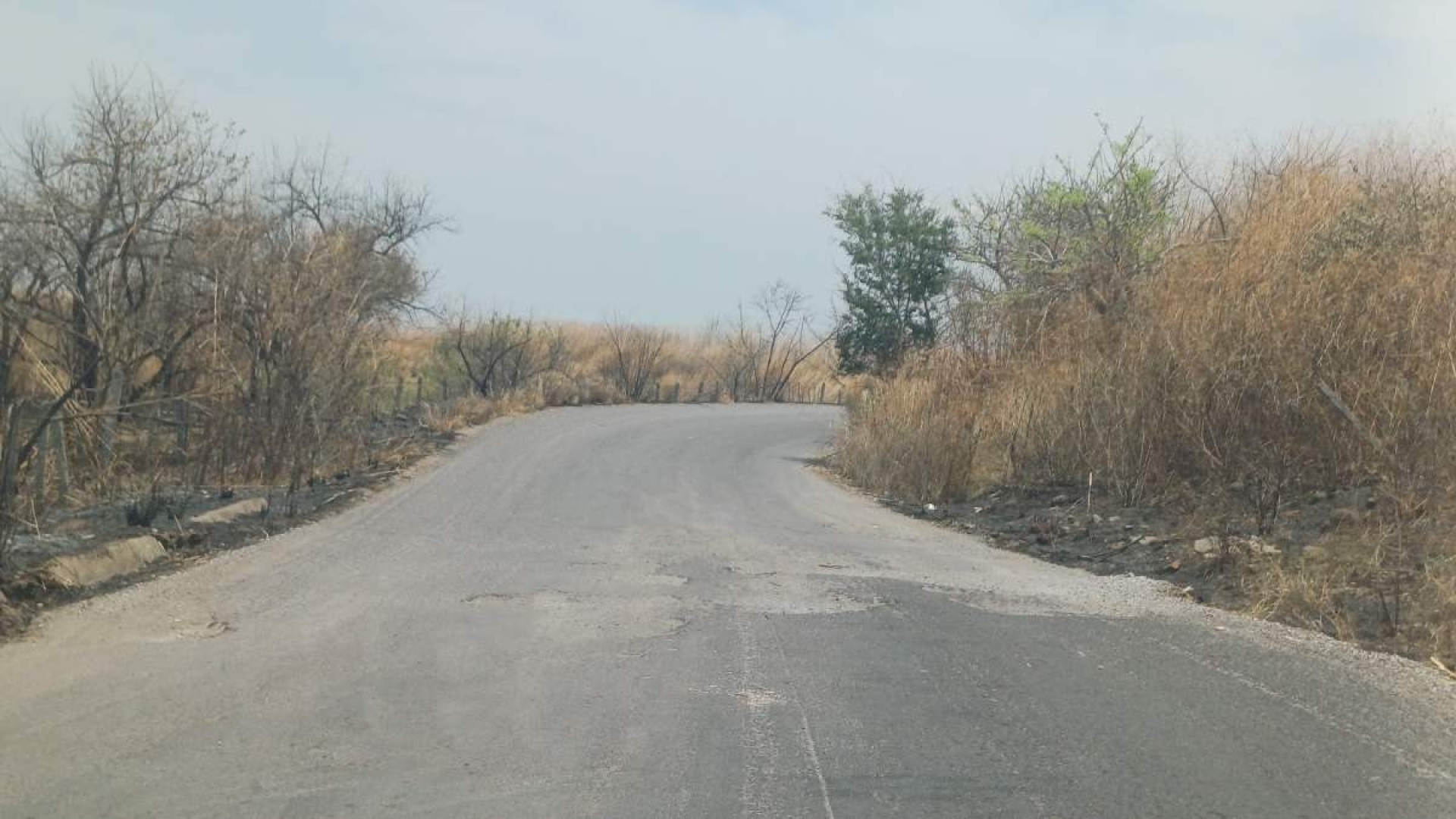 Exigen rehabilitación urgente de carretera Puente de Ixtla-Mazatepec