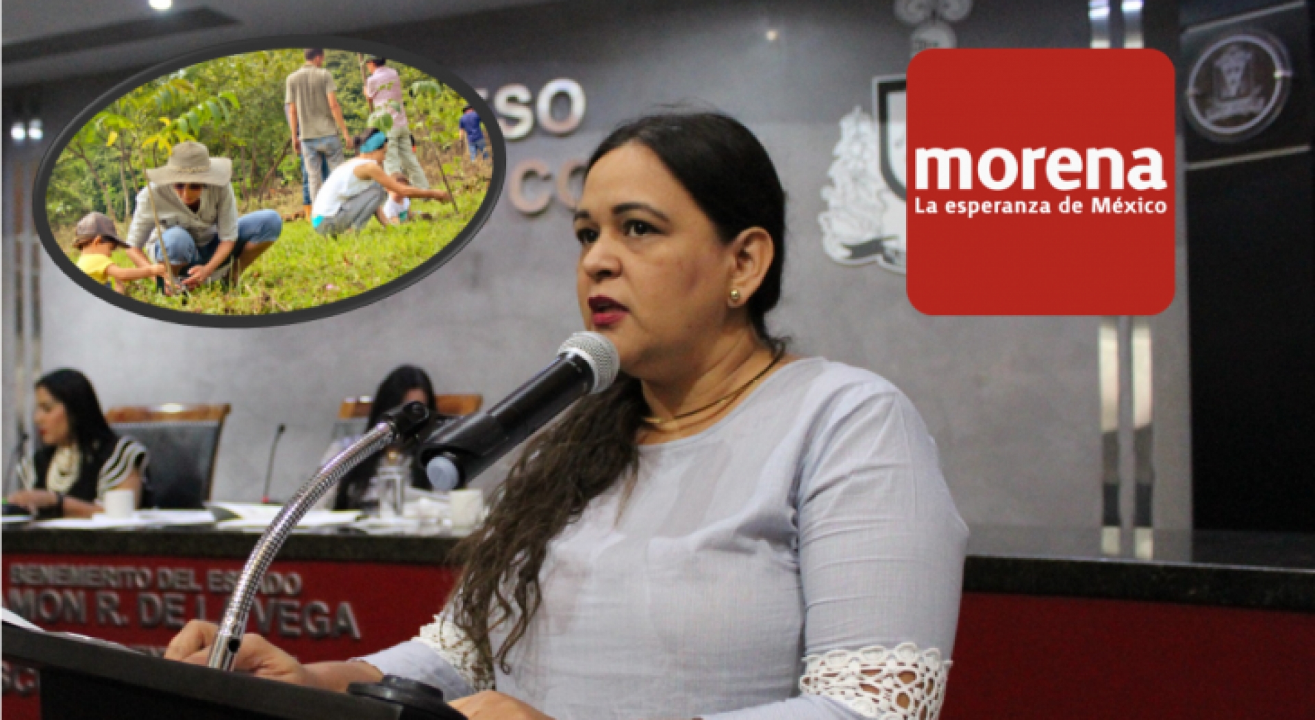 Morena propone reducción de impuestos a personas que planten árboles en sus propiedades