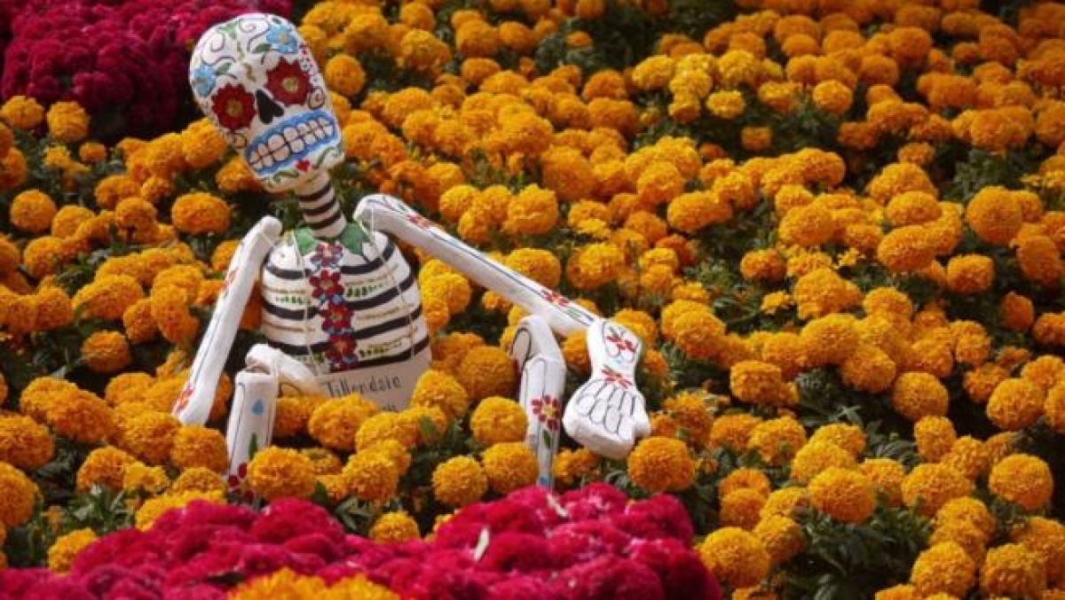 La leyenda de la flor de cempasúchil y la historia de amor que esconde