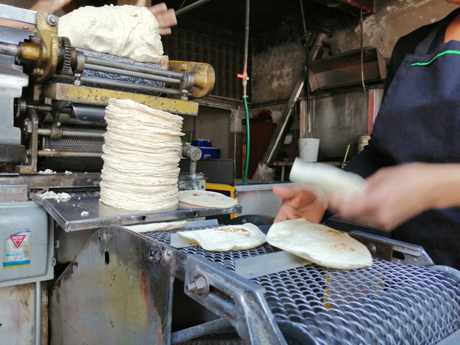 Pone en marcha Profeco monitoreo de variaciones en el precio de la tortilla