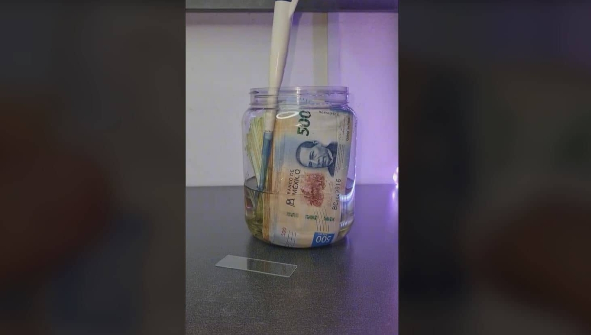 TikToker examina bajo el microscopio un fajo de billetes