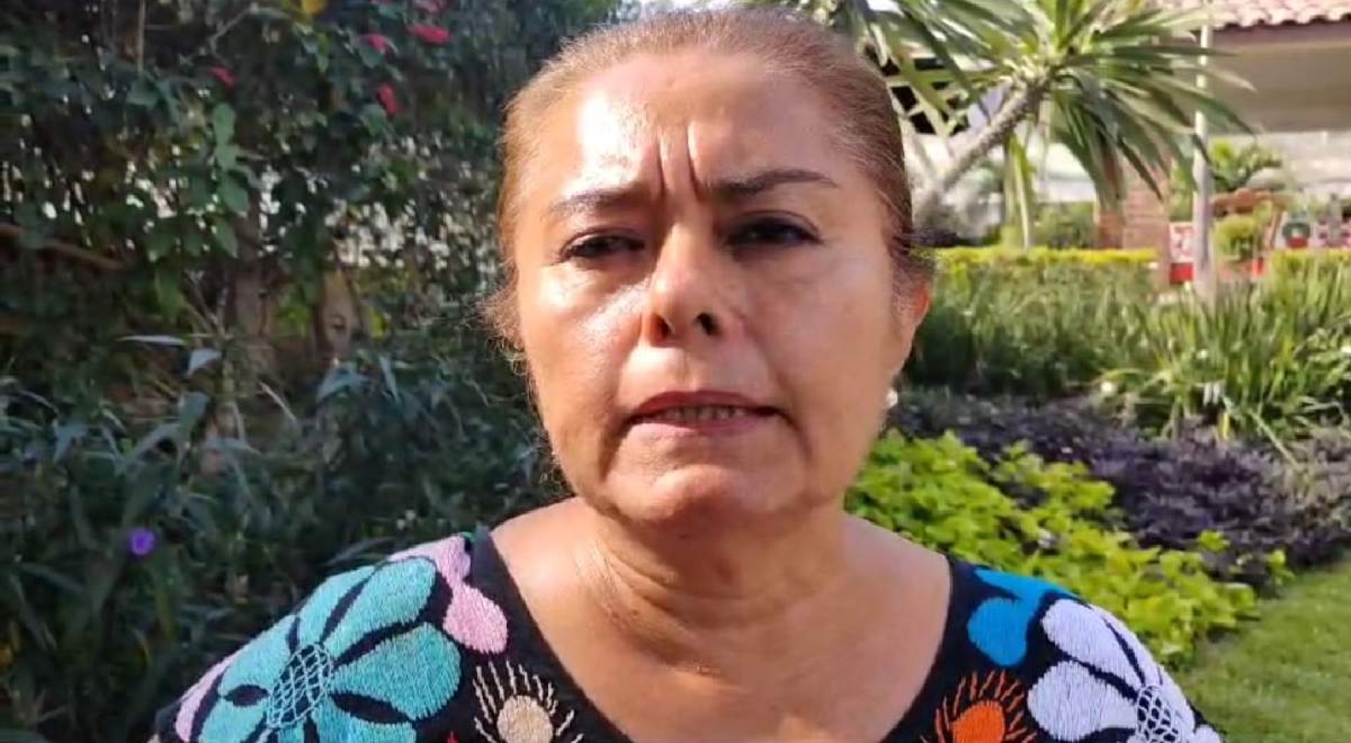 A la baja, venta de peces de ornato en la zona sur