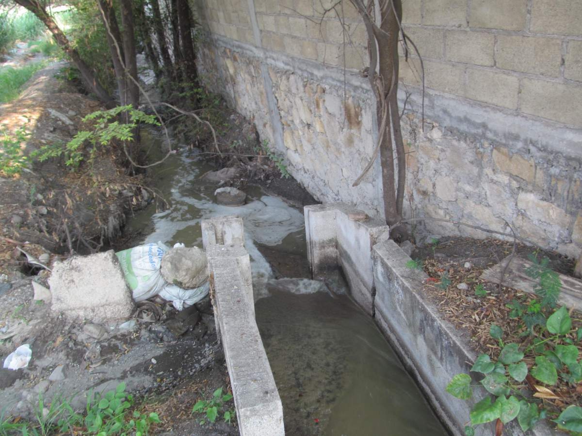 Denuncian descargas de aguas negras en campos de cultivo de Zacatepec