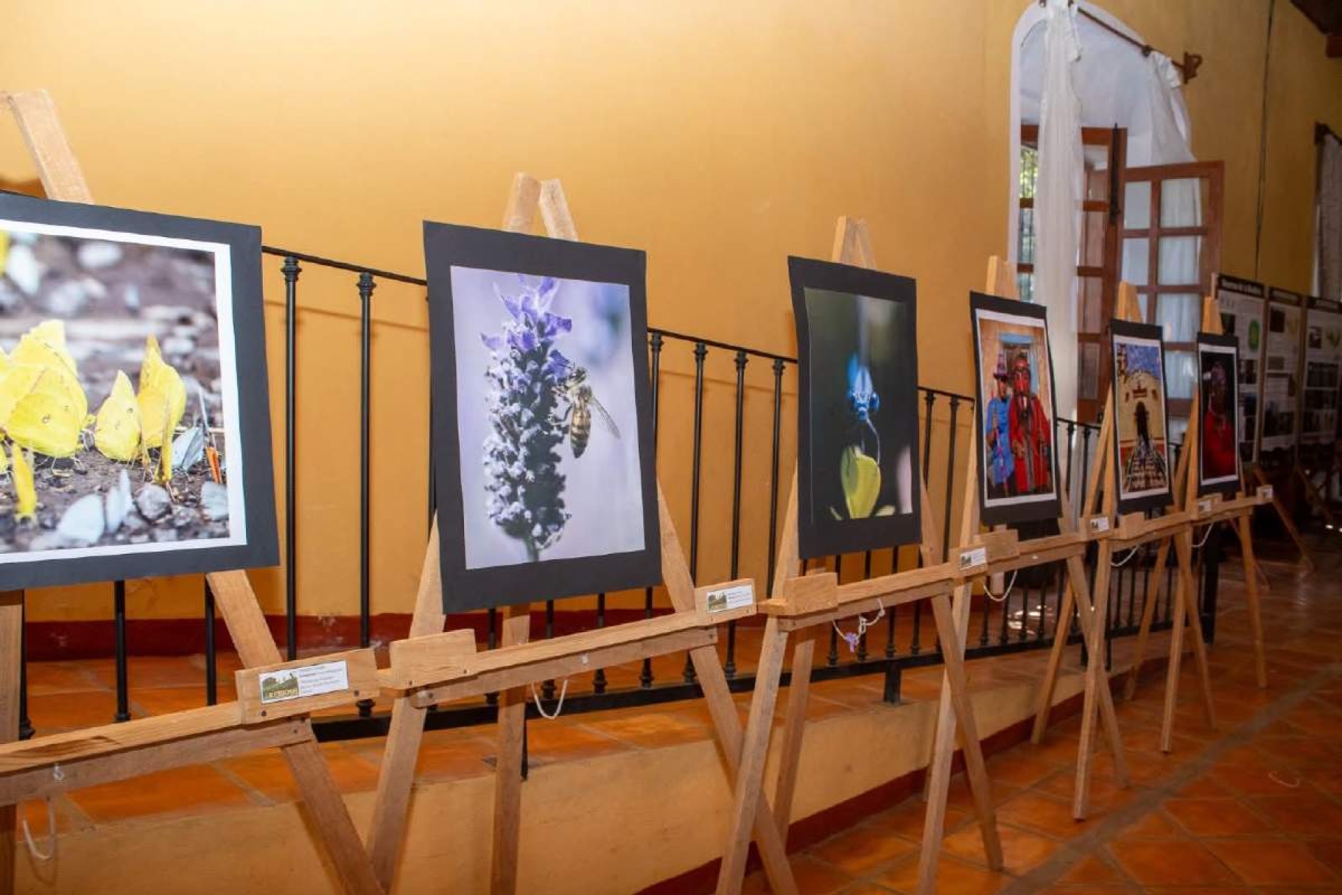 Presenta la UAEM exposición sobre la riqueza natural de la Sierra de Huautla