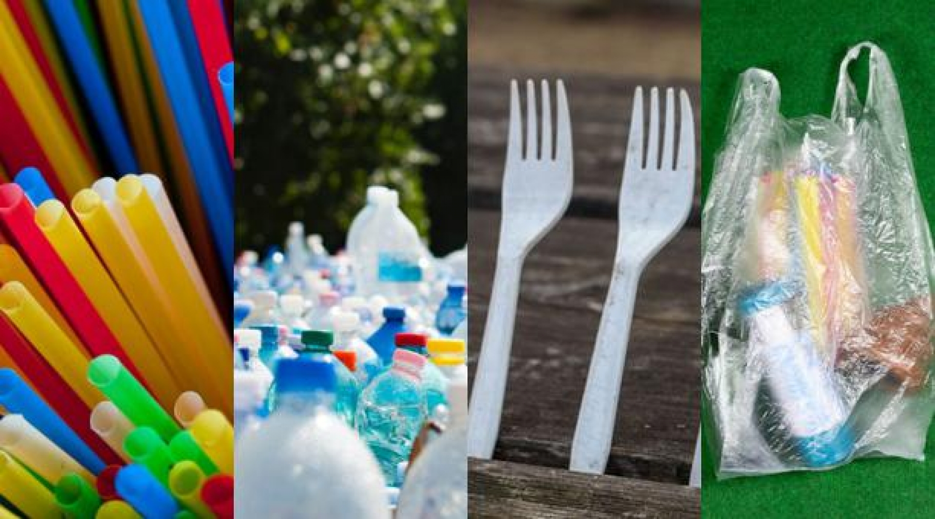 Promueven eliminación de plásticos de un solo uso en Coatlán del Río