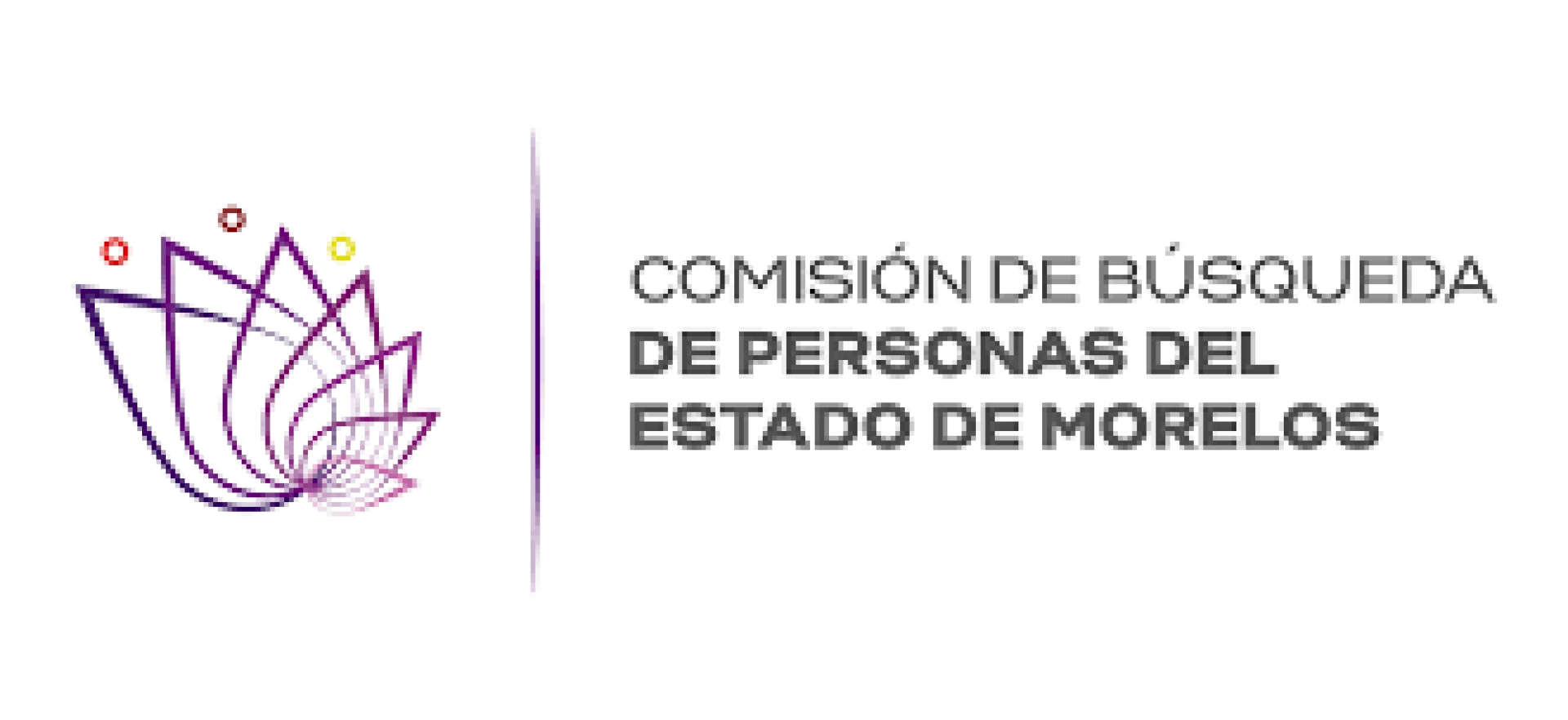 Suspenden proceso para integrar consejo de búsqueda de personas