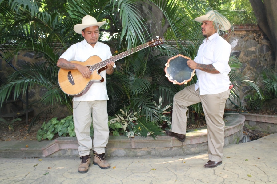 El son jarocho es como la magia: Balajú