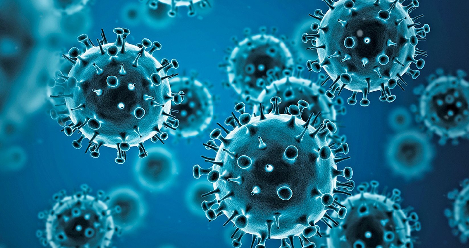 Salud descarta casos de variante K de influenza A H3N2 en México