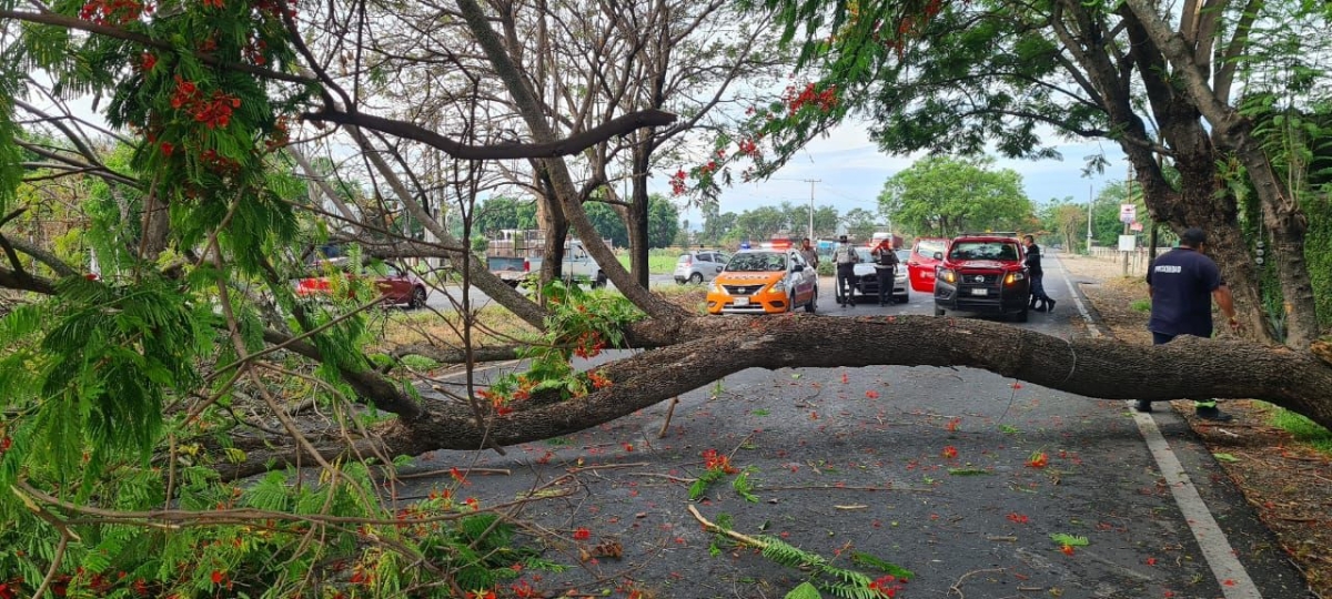 No se tiene reporte de daños severos tras reciente lluvia, refiere CEPCM