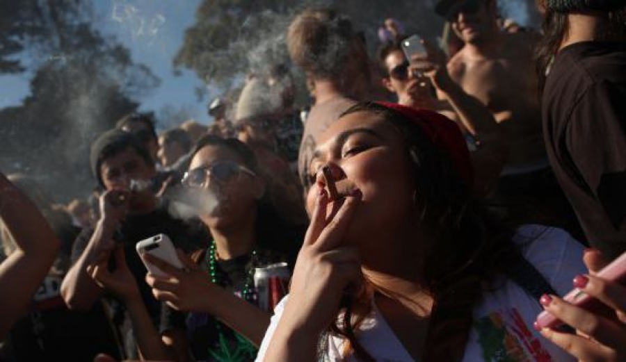 Claves sobre la legalización de la marihuana