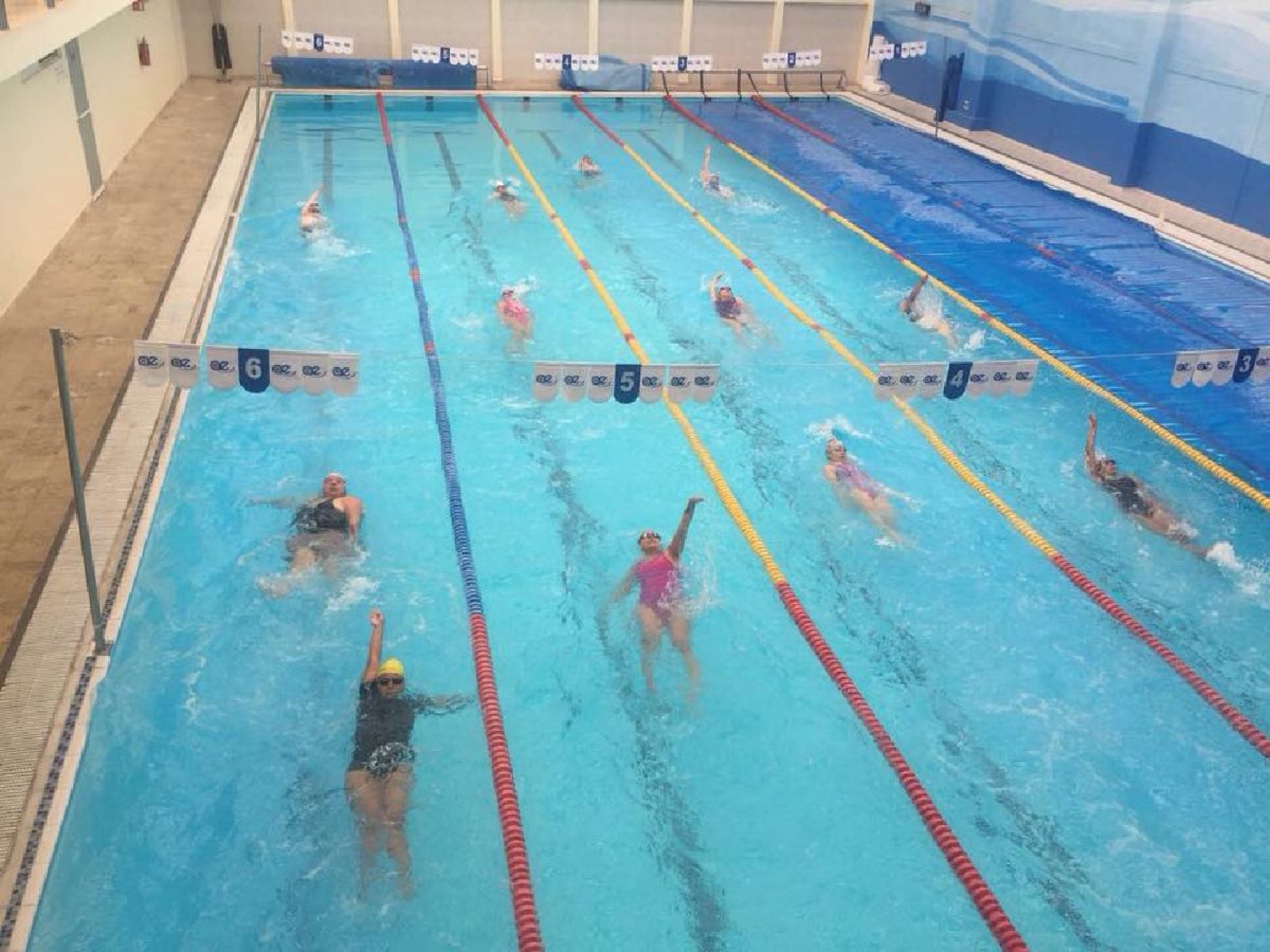 Preparan Campeonato Estatal de Curso Largo de natación