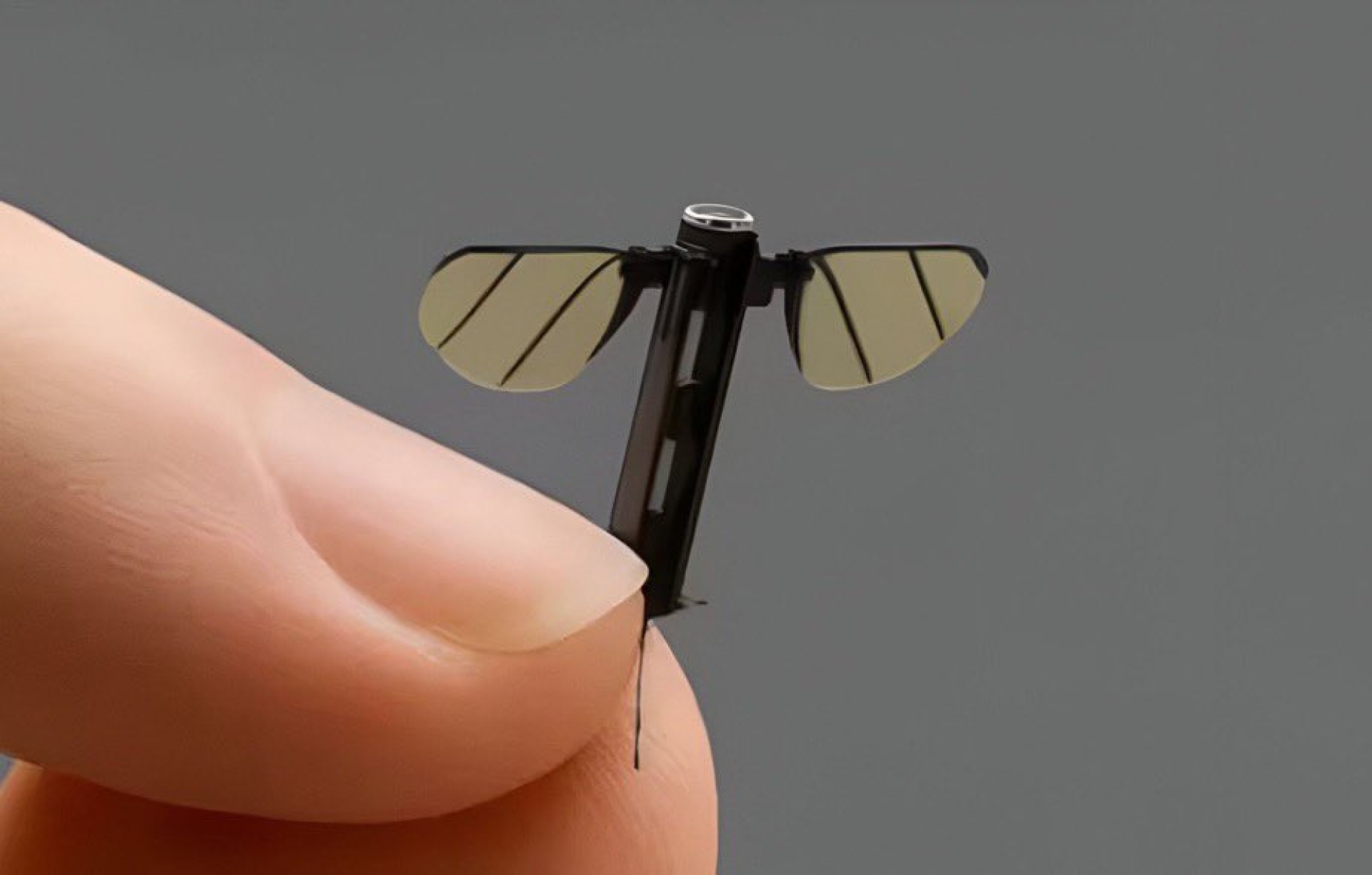 China desarrolla dron tan pequeño como un mosquito con aplicaciones militares y civiles
