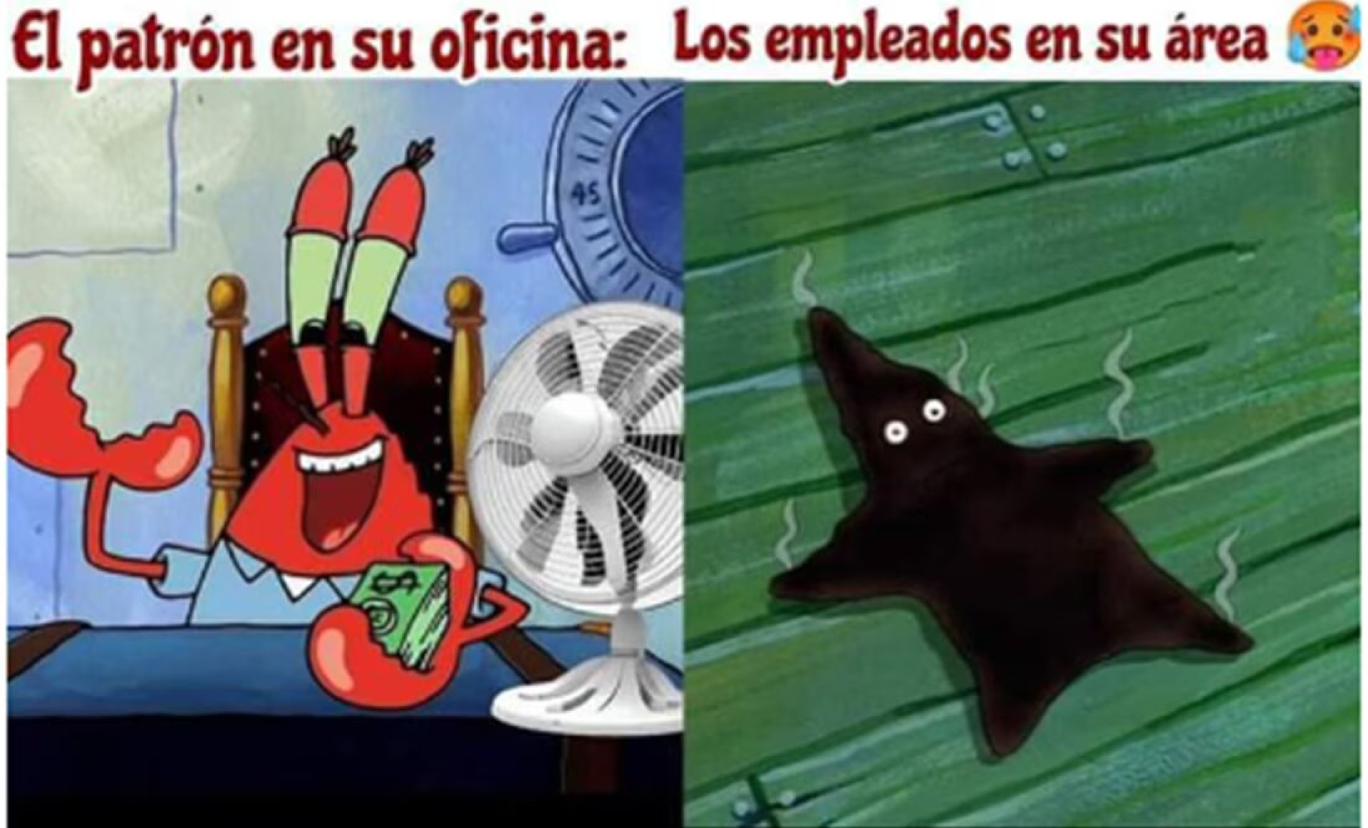 Usuarios 'encienden' las redes sociales con los mejores memes por ola de calor