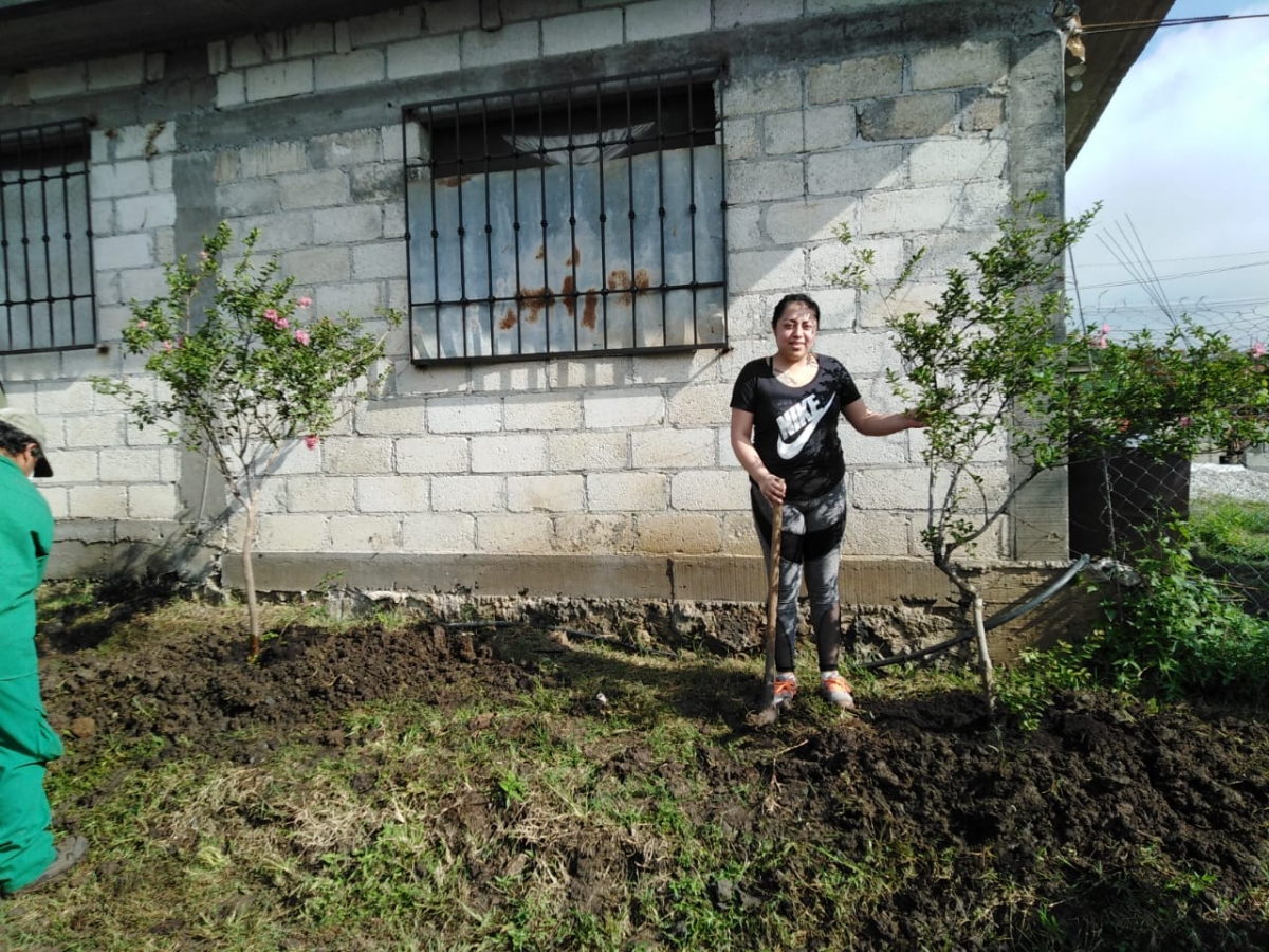 Programa de reforestación urbana 2021 en la colonia Unidad Deportiva