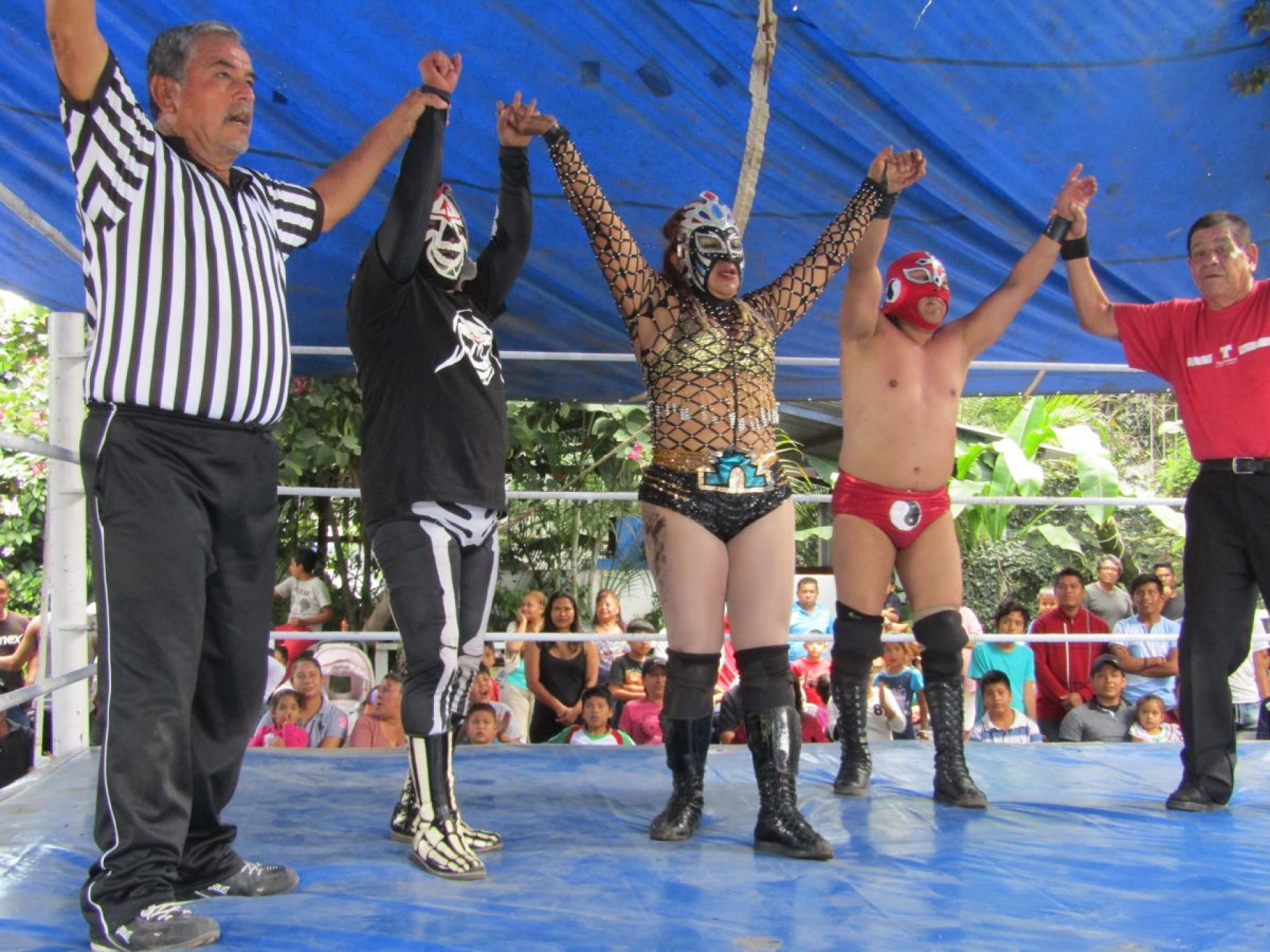 Ganan los técnicos