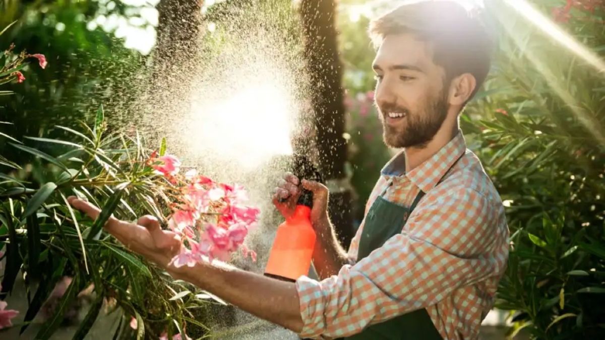 Cómo hacer agua de riego con vinagre para hacer florecer tus plantas al máximo