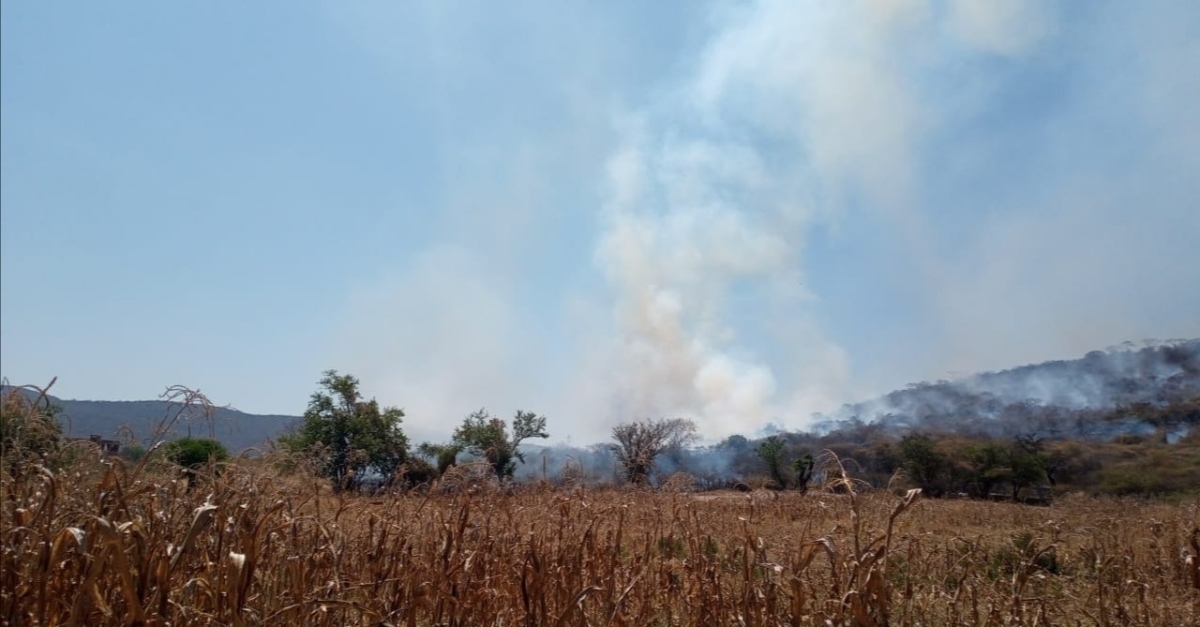 Atienden brigadistas incendio forestal en paraje 'Quinta piedra' en Tepoztlán