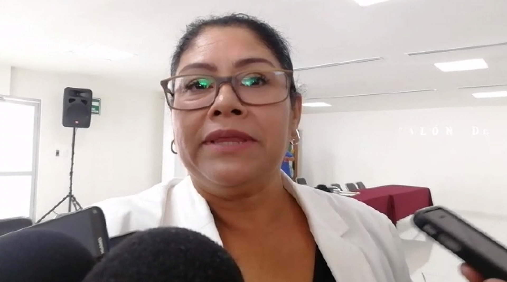 'Levanté la mano' para participar en la Mesa Directiva del Congreso: Maricela Jiménez