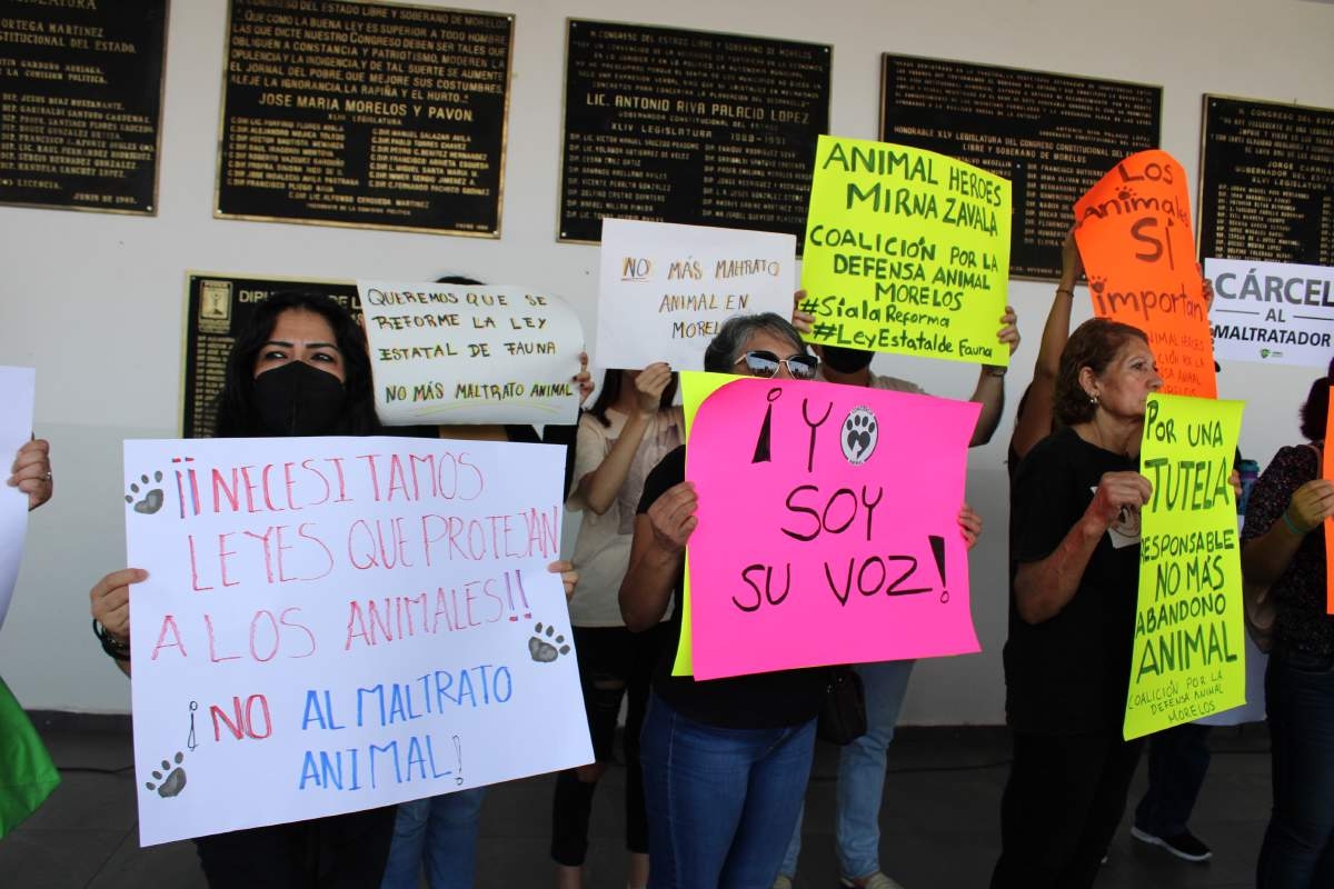 Impulsan como obligatoria la tenencia responsable de mascotas