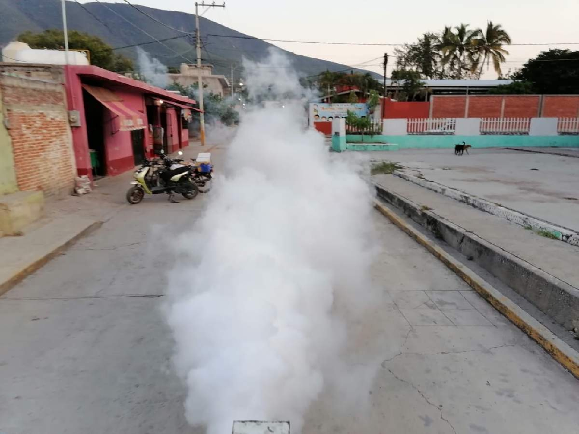 Se registran cuatro muertes por dengue en el hospital de Jojutla