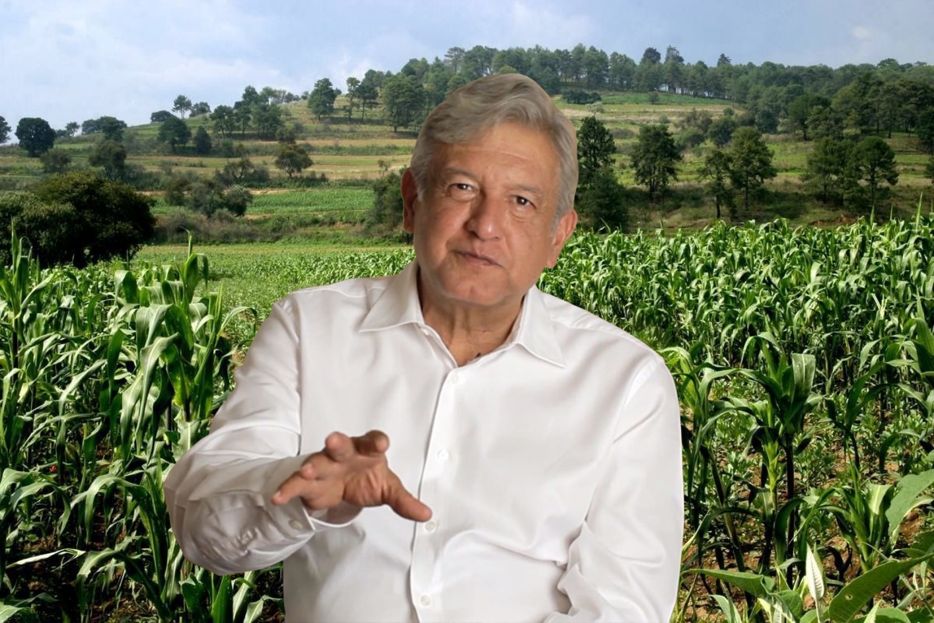 Agropecuarios buscan que AMLO 'rectifique' y no le recorte dinero al campo