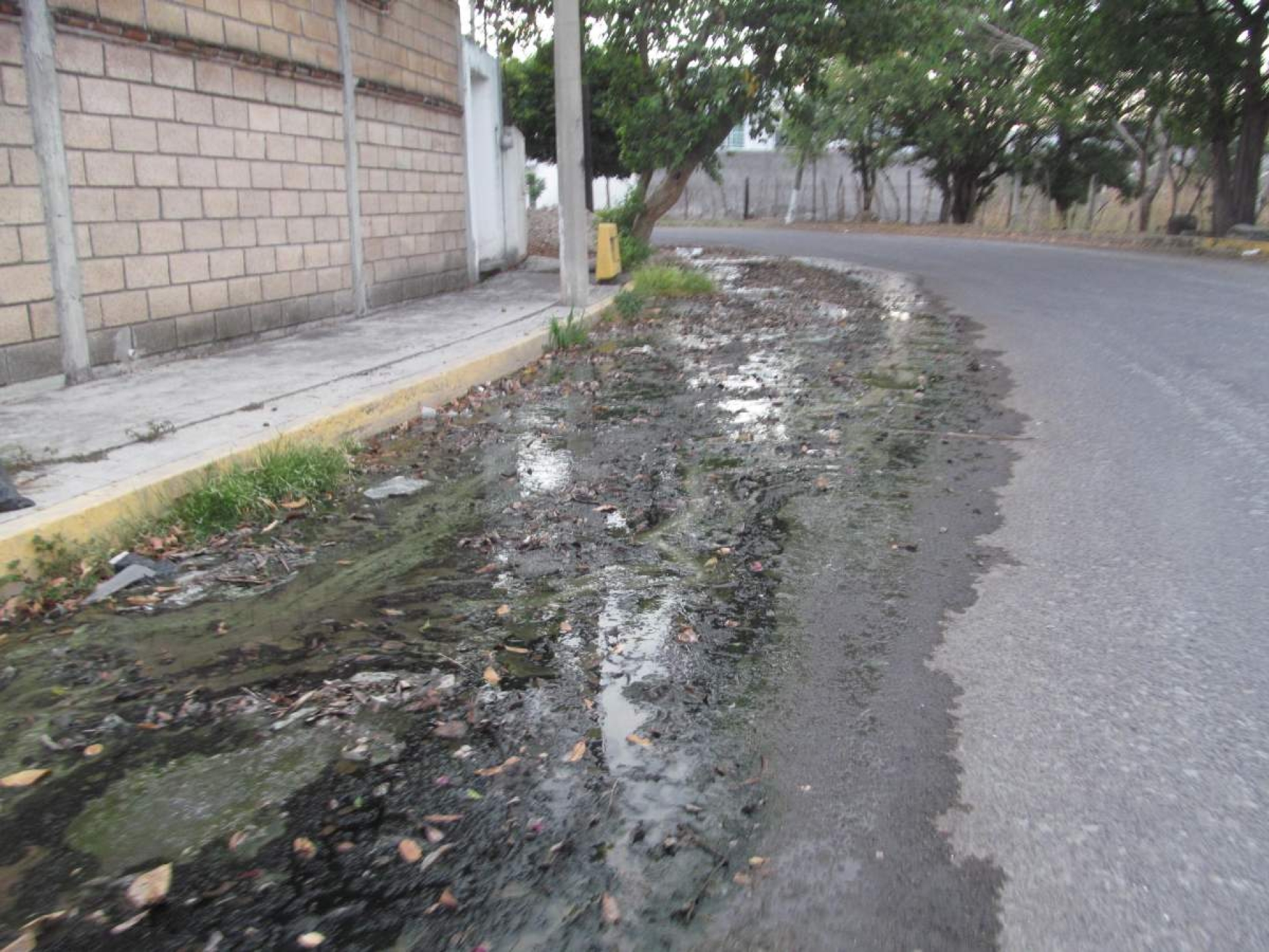 Urgen reparación de drenaje en colonia de Jojutla