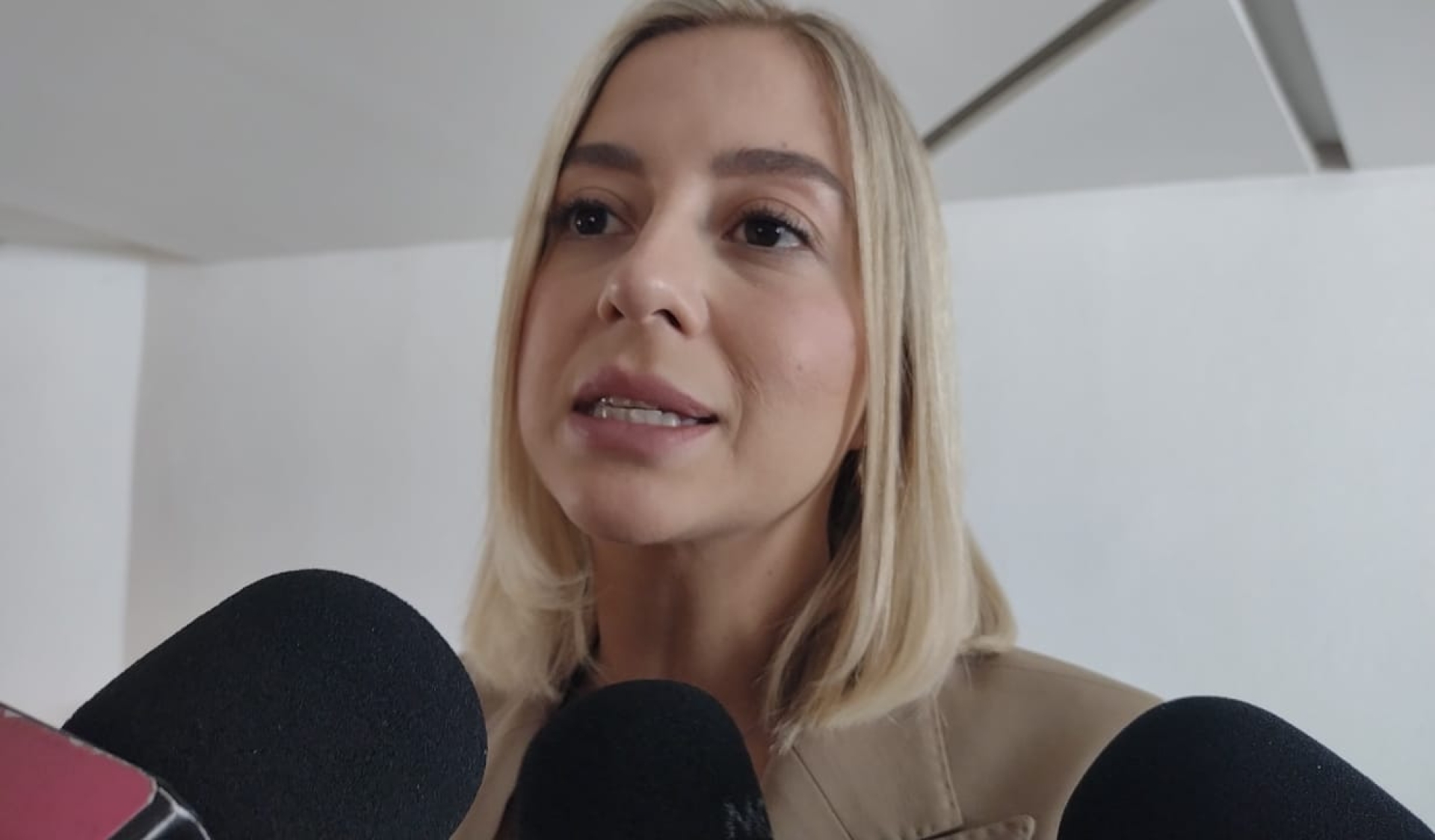 Fondo Verde debe mantener esencia ciudadana y garantizar plena transparencia, señala diputada Andrea Gordillo